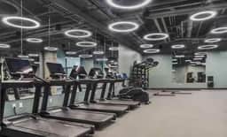 Central Boston 2BR Retreat Gym W&D Golf - Image 4