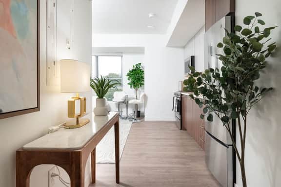 Luxury Studio with King bed Gym near MIT Harvard in Central Square! - Image 2